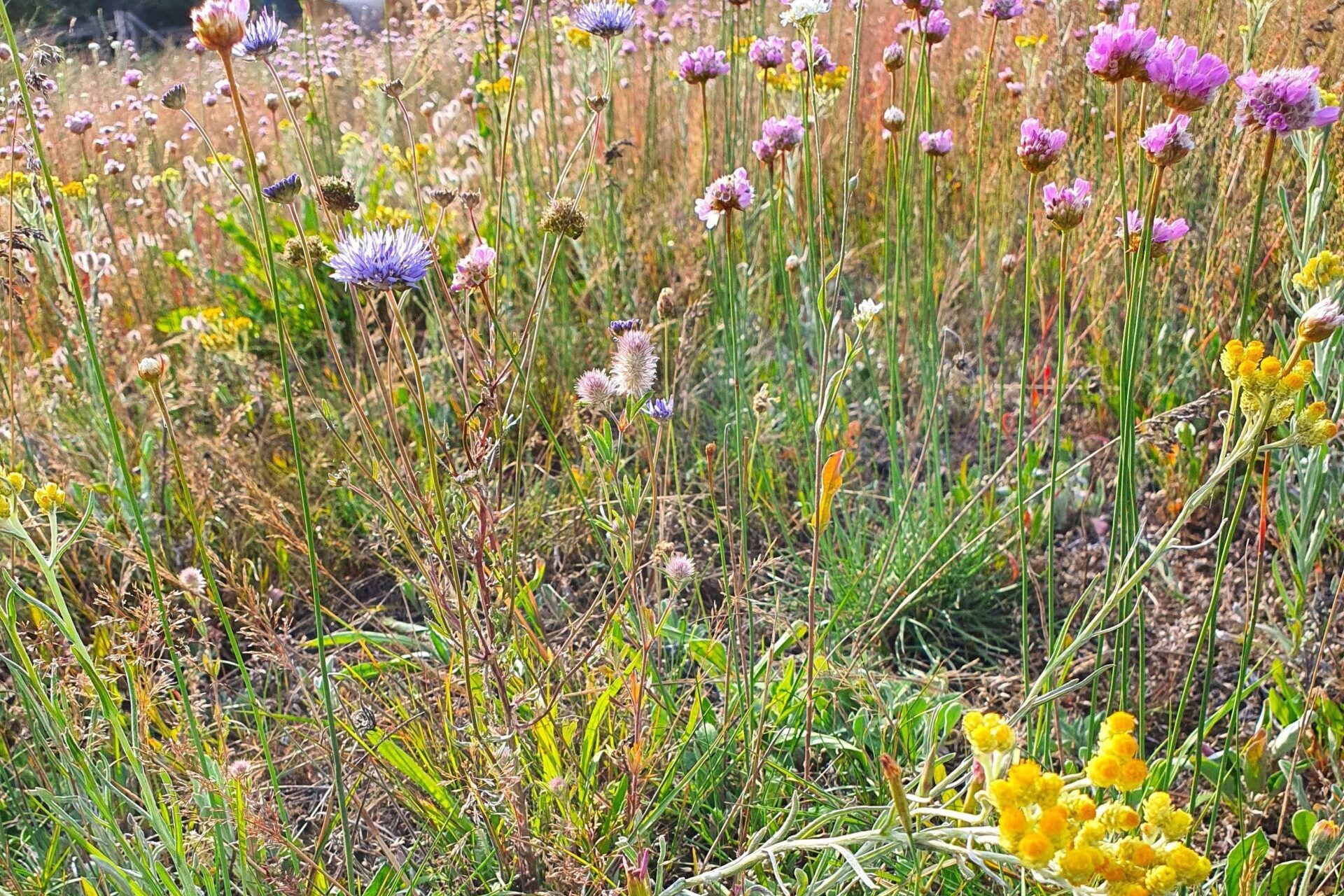 20210801_181704 klein